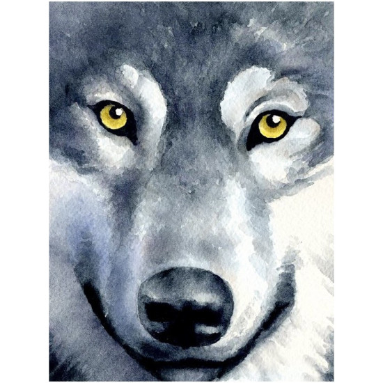Алмазная живопись, Взгляд волка, 15x20 cm, artkatalog, WD2361
