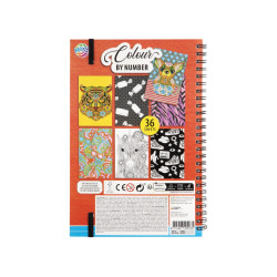 Colour By Number, 23×16cm Cm, 36 Sheets, Moxy, 150081