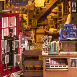 3D Miniature house kit, Book Nook Wisdom Stationery Shop, robotime, TGB19