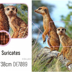 Dimanta mozaīka, Surikati, collectiondart, DE7089