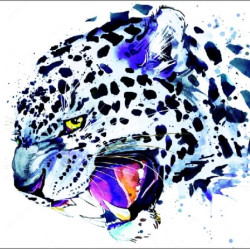 Dimanta mozaīka, Snow Leopard, 30x40, varvikas, LE017e
