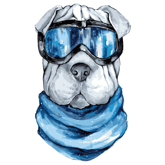 Numeromaalaus, Shar-Pei, 30x40, varvikas, ME1110e