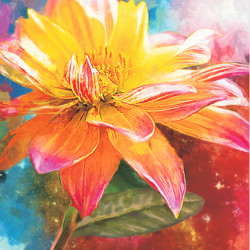 
Dimanta mozaīka, Orange Lily, 40x50, varvikas, LG228e
