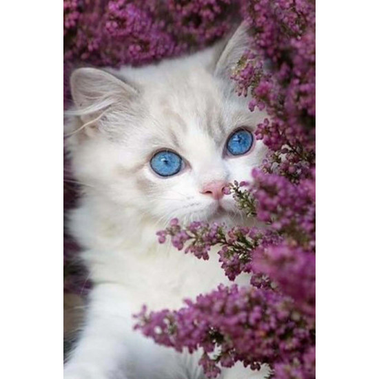 Painting by numbers, Glance of lilac, 20x30, varvikas, MC1131e.