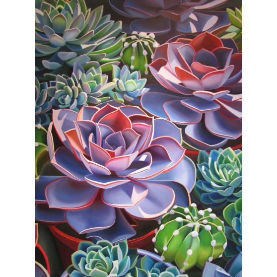 Diamond painting, Succulent, 30x40, varvikas, LE153e