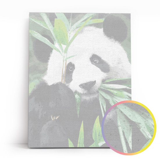 Tapymas pagal numerius, Panda Idilė, 30x40, varvikas, ME1171e