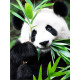 Tapymas pagal numerius, Panda Idilė, 30x40, varvikas, ME1171e