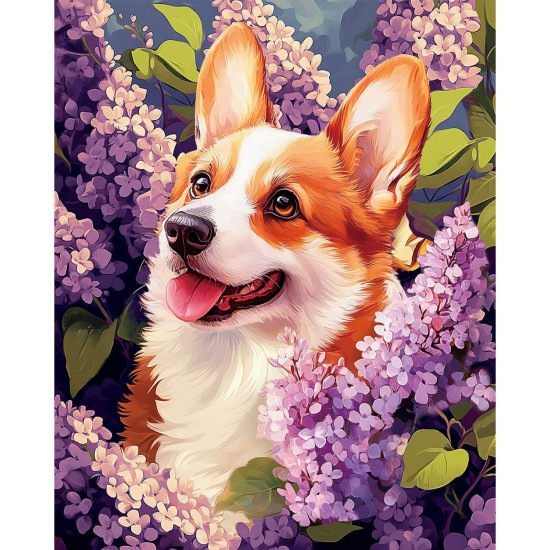 Алмазная живопись 40x50 cm, Весенний корги, varvikas, LG363e