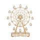 3D koka puzle, DIY Mūzikas kaste–Ferris Wheel, 232 gab, robotime, TGN01