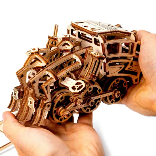 3D medinis galvosūkis, Svajonių Ekspresas, 220 dalių, woodencity, WR338