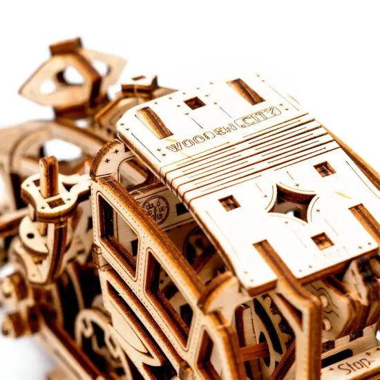 3D medinis galvosūkis, Svajonių Ekspresas, 220 dalių, woodencity, WR338