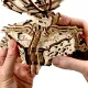 3D koka puzle, Pasaules Globuss, 269 gab, woodencity, WR341