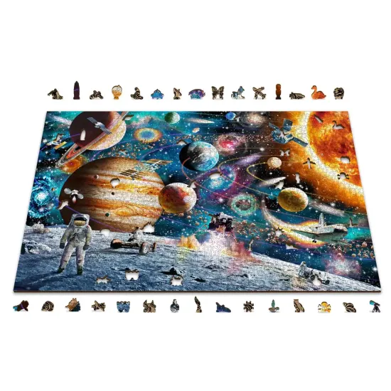 Medine delione, Kosminė odisėja, 2000, woodencity, AL 2000-0133-XXL